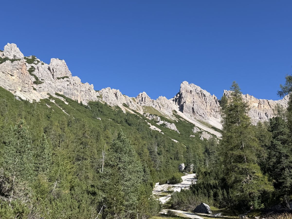 Cime dolomitiche sopra il bosco di conifere