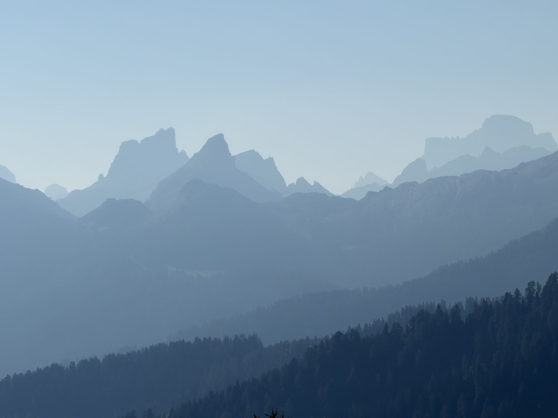 Cime delle Dolomiti nella foschia sopra il bosco